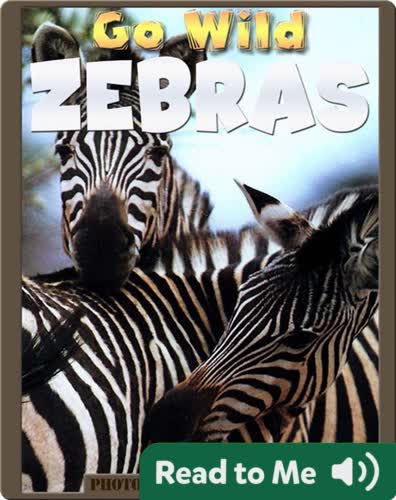 Go Wild Zebras