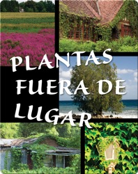 Plantas fuera de lugar