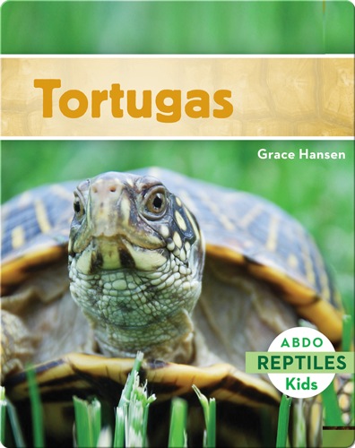 Tortugas