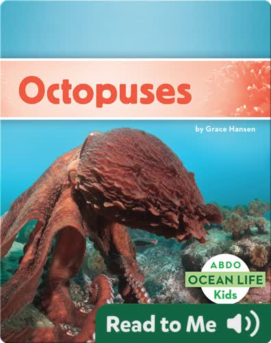 Octopuses