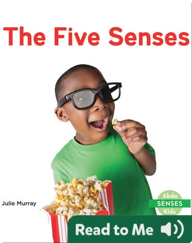 The Five Senses
