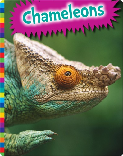 Chameleons