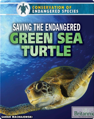 Saving the Endangered Green Sea Turtle