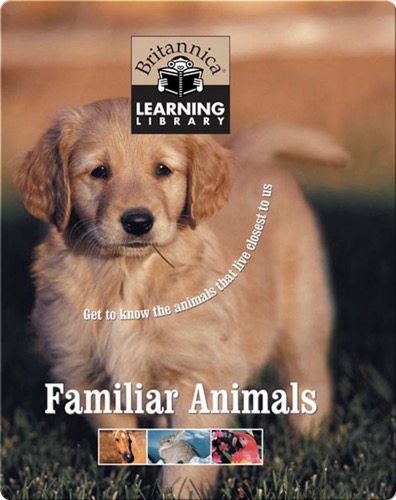 Familiar Animals