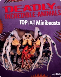 Top 10 Minibeasts