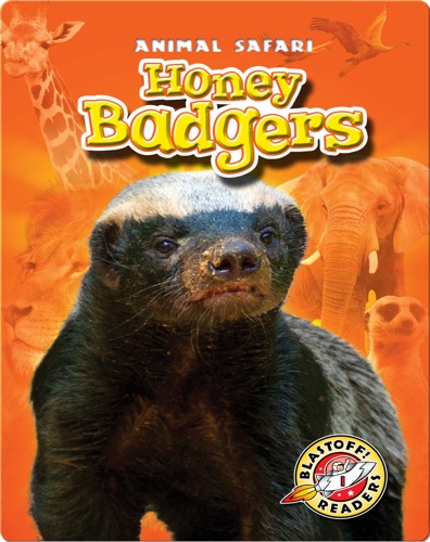 Honey Badgers