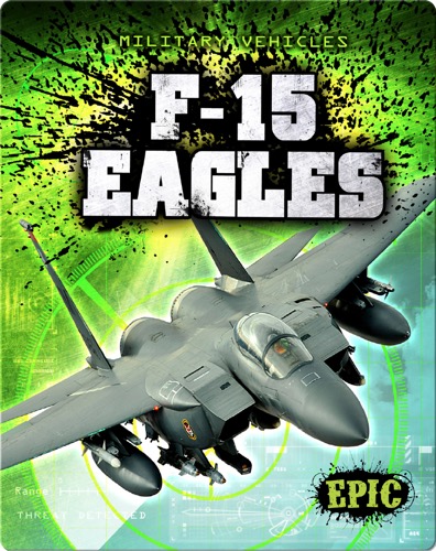 F-15 Eagles