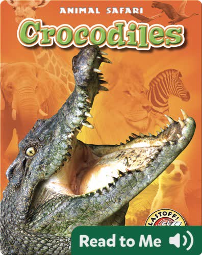 Crocodiles