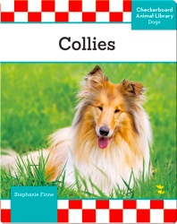 Collies