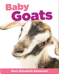 Baby Goats