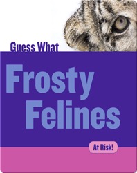 Frosty Felines