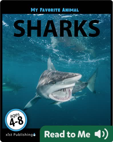 My Favorite Animal: Sharks