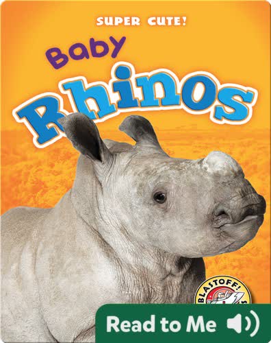 Super Cute! Baby Rhinos