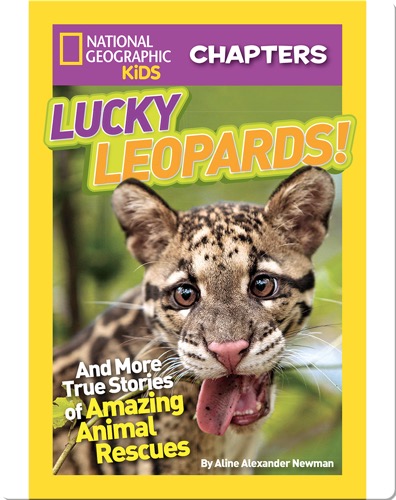 National Geographic Kids Chapters: Lucky Leopards