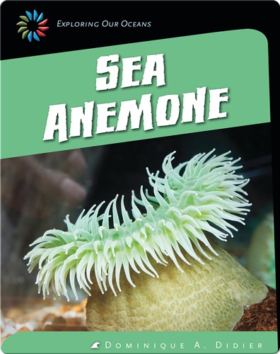 Sea Anemone