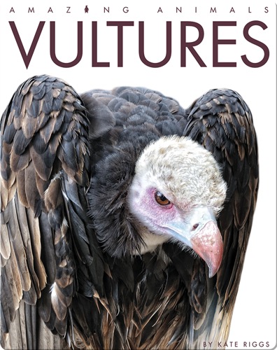 Vultures