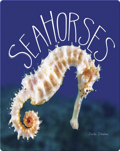 Sea Horses