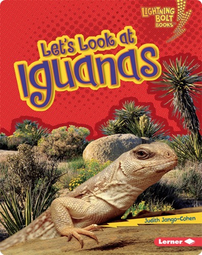 Let's Look at Iguanas