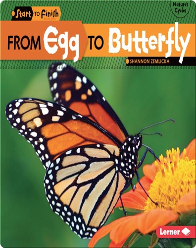 From Egg to Butterfly