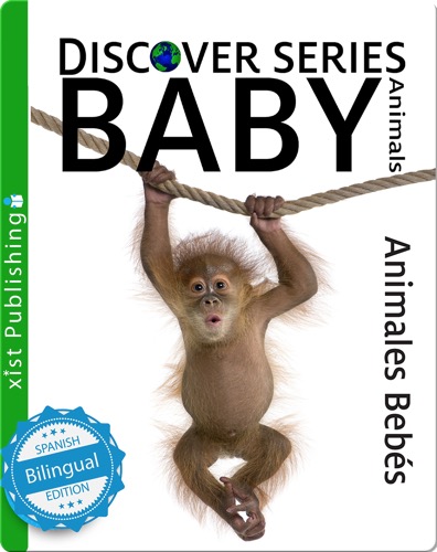 Animales Bebés/ Baby Animals