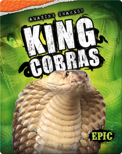 King Cobras