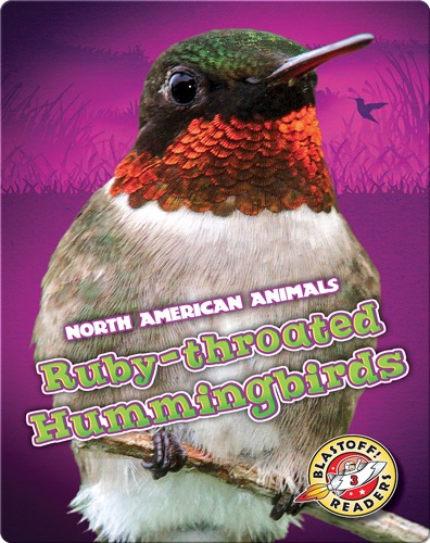 Ruby-throated Hummingbirds