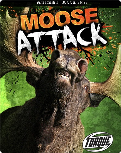 Moose Attack