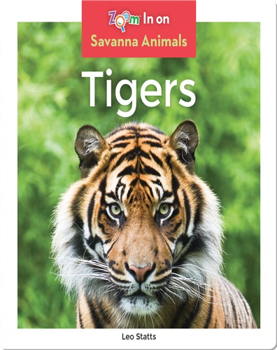 Tigers