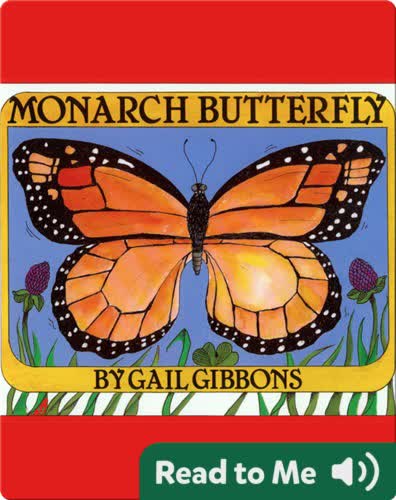 Monarch Butterfly