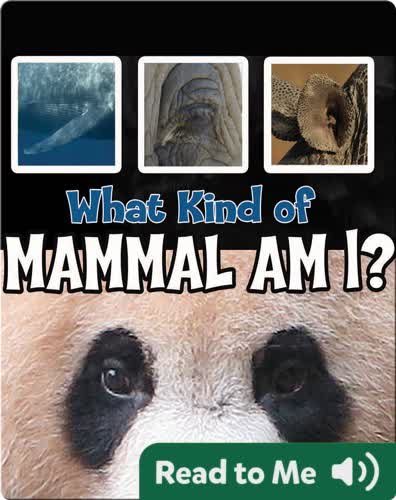 What Kind of Mammal Am I?