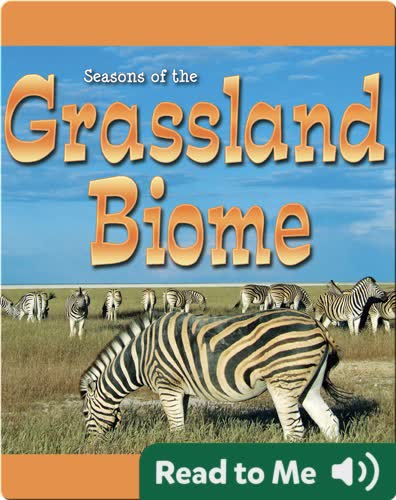 Seasons Of The Grassland Biome