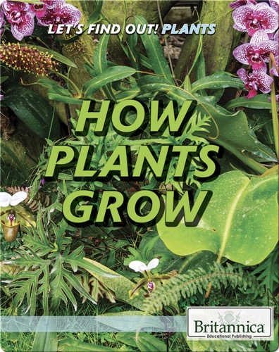 How Plants Grow