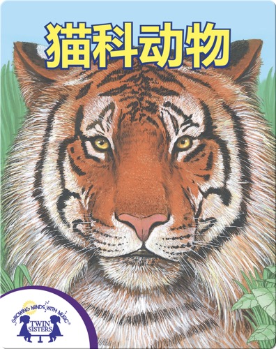 猫科动物!