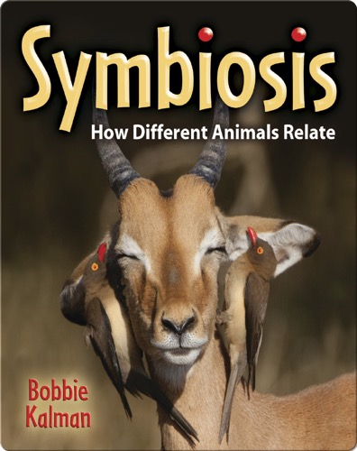 Symbiosis: How Different Animals Relate