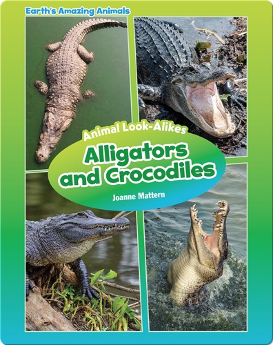 Alligators and Crocodiles