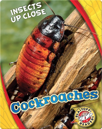 Cockroaches