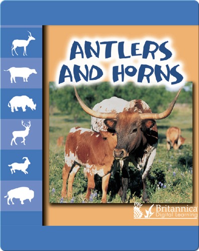 Antlers and Horns