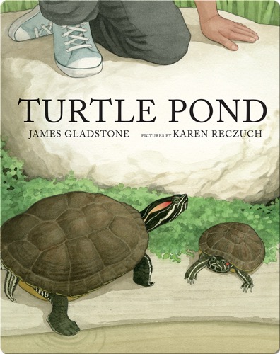 Turtle Pond