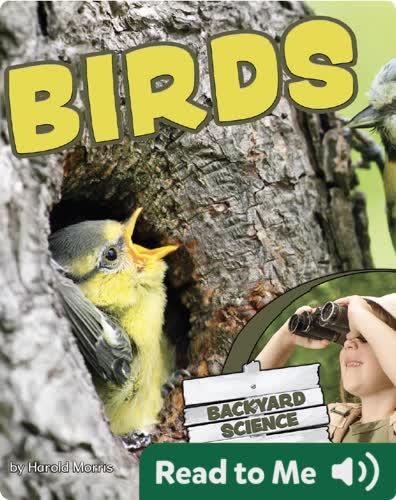 Back Yard Science - Birds