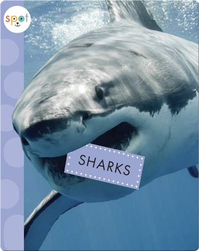 Sharks