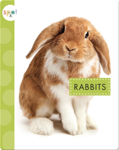 Rabbits