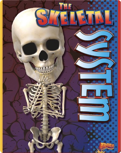 The Skeletal System