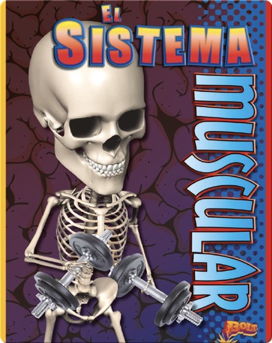 El Sistema Muscular