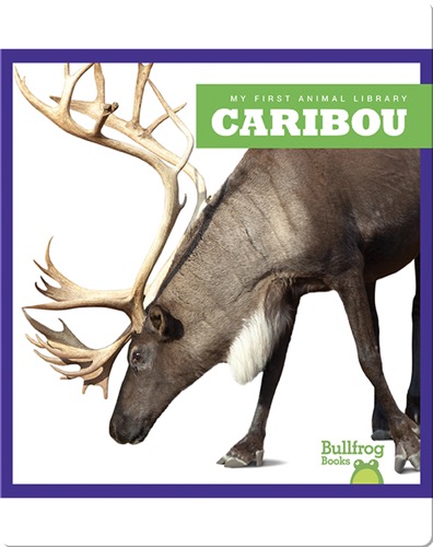 Caribou