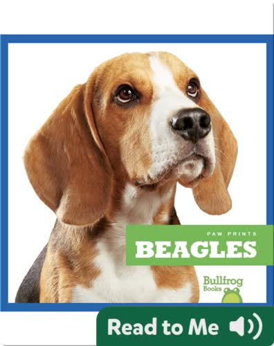 Beagles