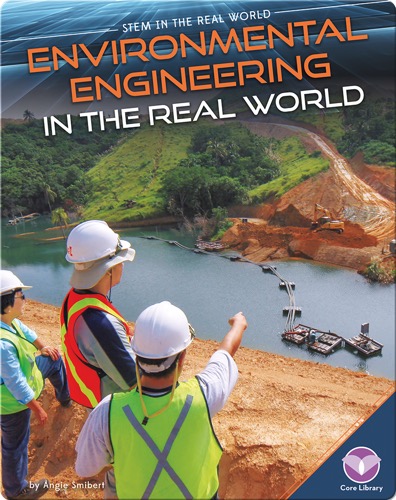 Environmental Engineering in the Real World