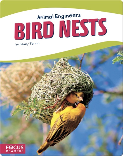 Animal Engineers: Bird Nests