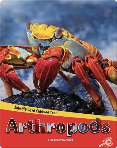Animals Have Classes Too!: Arthropods