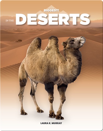 In The Deserts