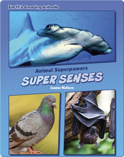 Super Senses